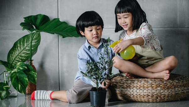 Teach Your Child Indoor Gardening.